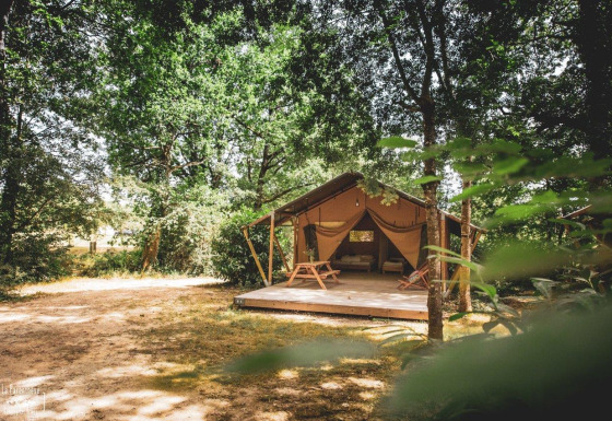 Tente safari Tent Saadani installée en clairière forestière, terrasse en bois et bancs, entourée d’arbres verts.