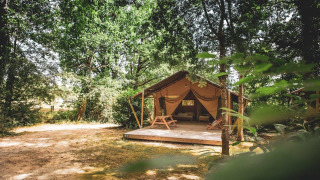 Das Safari-Zelt Tent Saadani im Wald, mit Holzterrasse und Bänken, umgeben von grünen Bäumen.