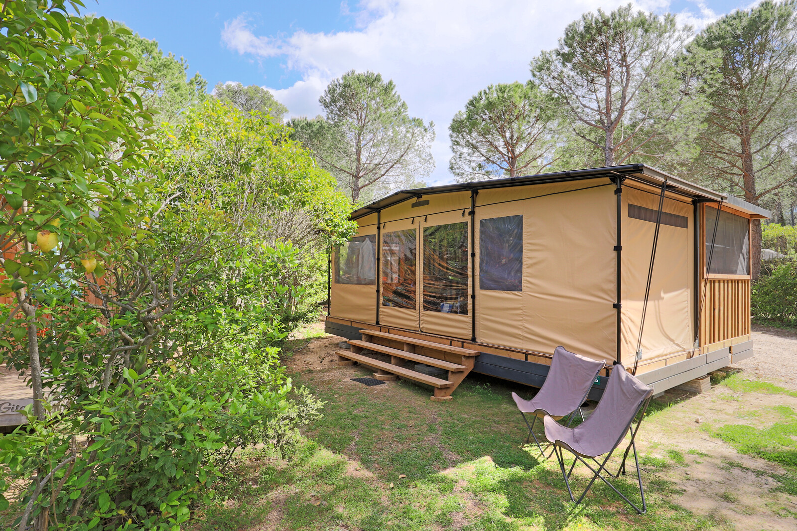 Safari-tent Arizona tussen bomen en groen, met twee campingstoelen buiten op een zonnige dag.