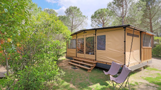 Safari tent Arizona set among trees and greenery, featuring two camp chairs outside on a sunny, clear day.