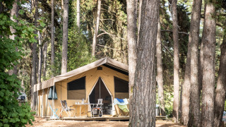 Safaritent Toile&Bois Sweet in een dennenbos, voorzien van terras met stoelen en campingtafel.