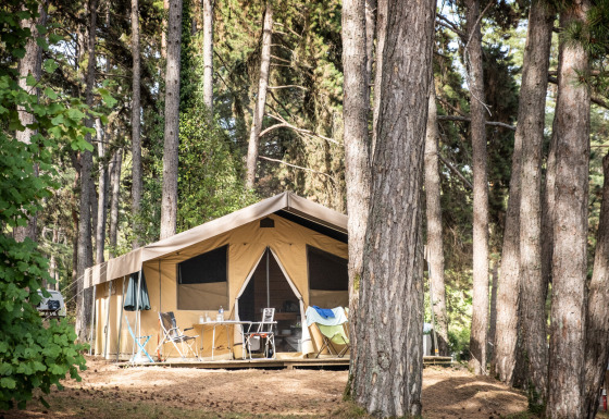 Tienda de safari Toile&Bois Sweet en un bosque de pinos, con terraza, sillas y mesa para camping.