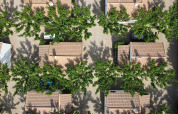 Aerial view of cottages and leafy trees at TAIGA Lake Caspe holiday park in Aragón, Spain, casting shadows.