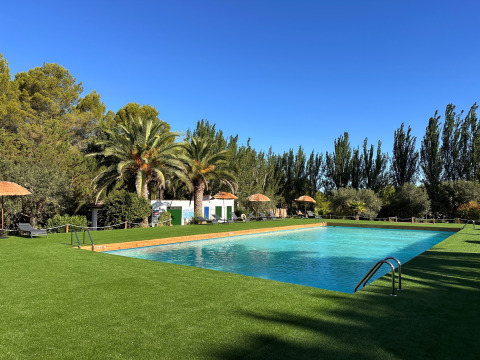 Piscina all'aperto circondata da prato verde e palme al TAIGA Lake Caspe, villaggio vacanze in Aragón, Spagna.