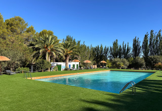 Outdoor swimming pool surrounded by green lawn and palm trees at TAIGA Lake Caspe holiday park in Aragón, Spain.