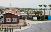 Holiday park with bikes, minimarket, playground, and palm trees by the sea at TAIGA Delta de l'Ebre, Catalonia.