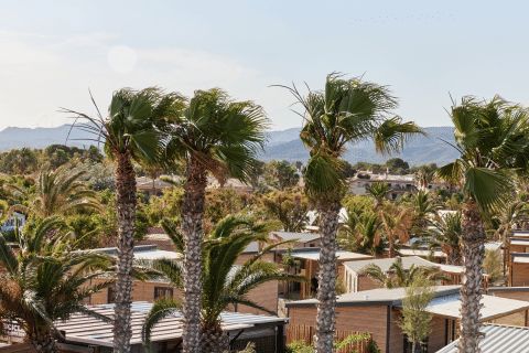 Palmbomen en moderne houten huisjes in L'Ampolla, Catalonië, Spanje, met bergen op de achtergrond op een zonnige dag.