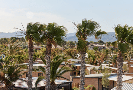 Palmeras y cabañas modernas de madera en L'Ampolla, Cataluña, España, con montañas al fondo en un día soleado.