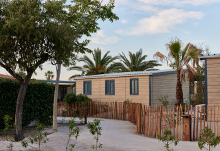 Feriehytter omgivet af palmer og træer i TAIGA Delta de l'Ebre-feriepark i Catalonien, Spanien.