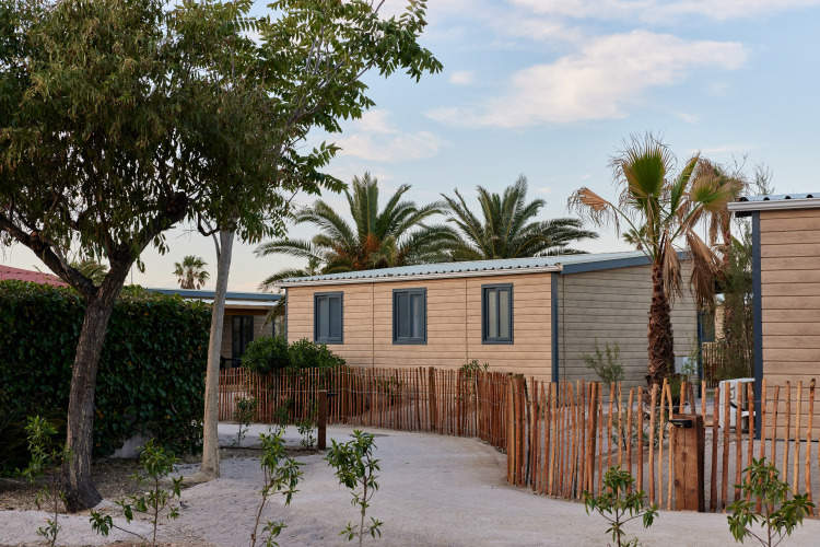 Vakantiehuisjes omgeven door palmbomen in vakantiepark TAIGA Delta de l'Ebre, Catalonië, Spanje.