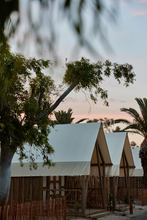 Glamping-Zelte zwischen Bäumen im Ferienpark TAIGA Delta de l'Ebre, Katalonien, Spanien, bei Sonnenuntergang.
