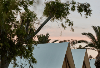 Glampingtelte blandt træer ved solnedgang i TAIGA Delta de l'Ebre feriepark, Catalonien, Spanien.