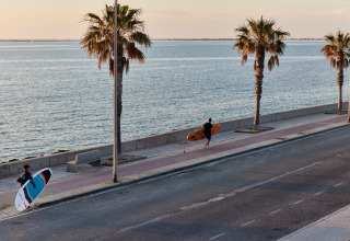 Two surfers walk along a seaside promenade with palm trees near L'Ampolla, Catalonia, Spain at sunset.