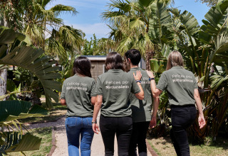 Four people in green shirts, walking on a palm-lined path at TAIGA Delta de l'Ebre holiday park, Catalonia.