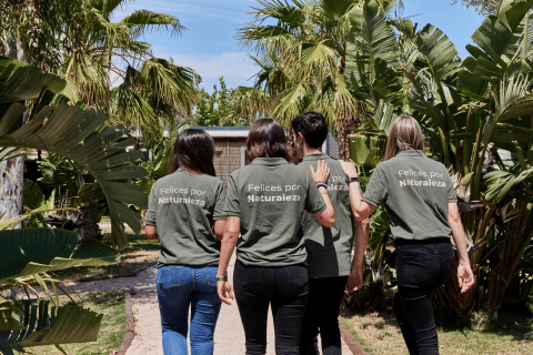 Quattro persone di spalle camminano tra le palme al TAIGA Delta de l’Ebre, nel parco vacanze in Catalogna.