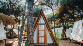 Hyggelig Breña Tent-hytte i TAIGA Tarifa, Spanien, omgivet af frodige fyrretræer og naturstemning.