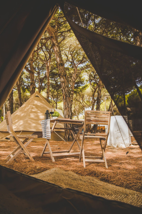 View from inside a tent at TAIGA Tarifa, a holiday park in Andalusia, Spain, with trees and outdoor seating.