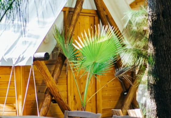 Vista exterior de la cabaña Janda Tent en TAIGA Tarifa, España, con muebles de madera y plantas verdes