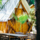 Udendørs scene med Janda Tent-hytte ved TAIGA Tarifa i Spanien, træmøbler og grønne planter