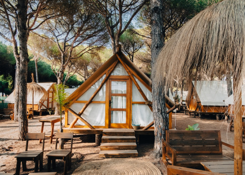 Fila de tiendas tipo safari entre árboles con muebles de madera, perfecta para una experiencia de glamping.