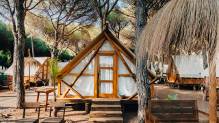 File di tende safari tra gli alberi, arredate con mobili in legno, perfette per un'esperienza glamping.