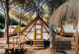 Reihe von Safarizelten zwischen Bäumen, mit rustikalen Holzmöbeln, ideal für naturnahes Glamping.