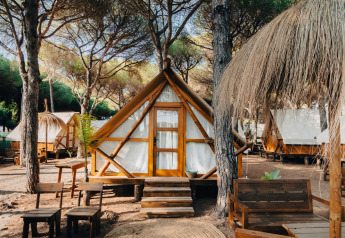 Rij safari-tenten omgeven door bomen en houten zitplaatsen, ideaal voor een gezellige glampingervaring.