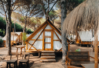 Reihe von Safarizelten zwischen Bäumen, mit rustikalen Holzmöbeln, ideal für naturnahes Glamping.