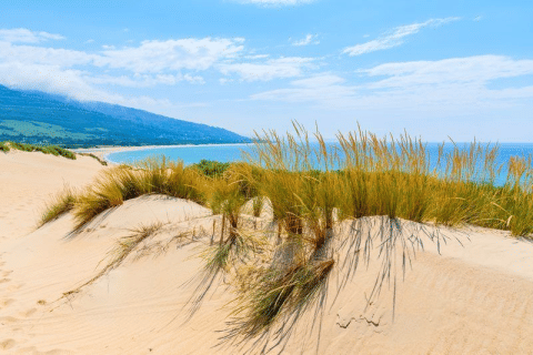 Dunas de arena y vegetación en la playa cerca de Tarifa, Cádiz, Andalucía, España, bajo un cielo azul.