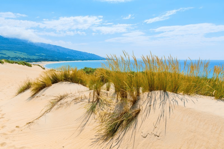 Zandduinen en strandvegetatie bij Tarifa, Cádiz, Andalusië, Spanje, met blauwe lucht en zeeblik.