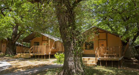 Tende safari a Glamping Haritza con veranda in legno, immerse in una lussureggiante foresta verde.