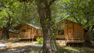 Tende safari a Glamping Haritza con veranda in legno, immerse in una lussureggiante foresta verde.