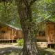 Tiendas safari en Glamping Haritza con terrazas de madera, rodeadas de bosque verde y naturaleza exuberante.