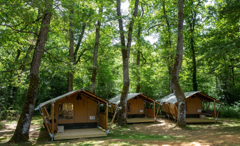 Tre tende safari al Glamping Jare immerse tra alberi alti in un bosco verde e lussureggiante.