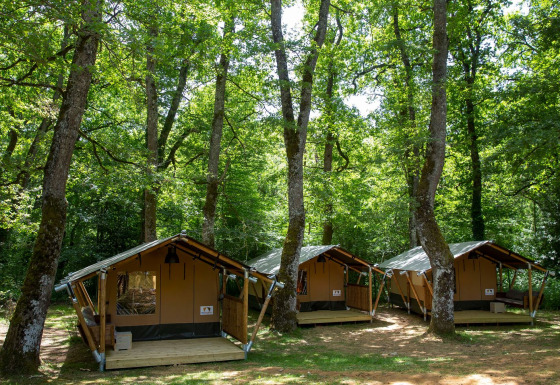 Tre tende safari al Glamping Jare immerse tra alberi alti in un bosco verde e lussureggiante.