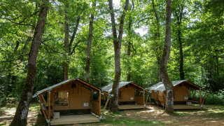 Tres tiendas safari en Glamping Jare ubicadas entre altos árboles en un entorno de bosque verde.