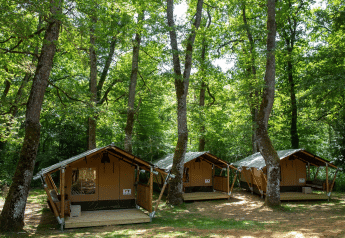 Drei Safari-Zelte von Glamping Jare stehen zwischen hohen Bäumen in einem sonnigen, grünen Wald.