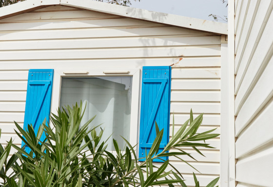 Cabaña blanca con contraventanas azules y vegetación en primer plano, vista en Bungalow Confort Delta.