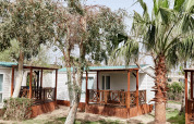 Vista exterior de la cabaña Bungalow Confort Delta, con porche de madera y rodeada de palmeras y vegetación.
