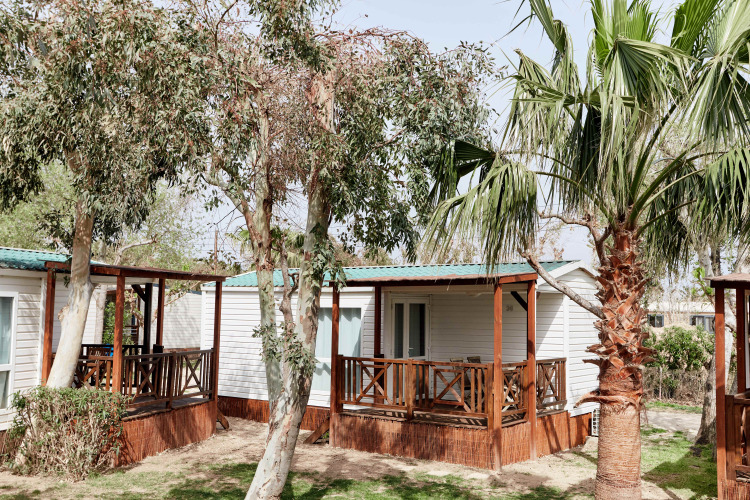 Vista exterior de la cabaña Bungalow Confort Delta, con porche de madera y rodeada de palmeras y vegetación.
