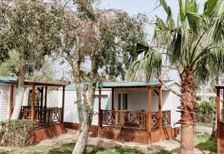 Exterior view of Bungalow Confort Delta cabin with wooden porch, surrounded by palm trees and greenery.