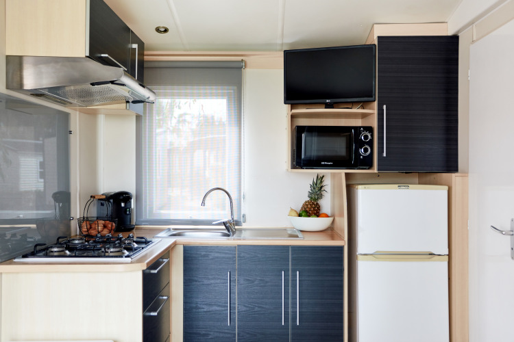 Cocina moderna en Bungalow Confort Delta con estufa, refrigerador, microondas, TV y frutero.