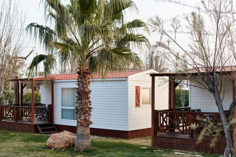 Dos bungalows Confort Delta blancos con techo rojo y porche de madera, rodeados de palmeras y césped.