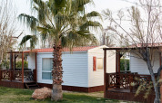 Twee witte Bungalow Confort Delta-huisjes met rood dak en veranda, omringd door palmbomen en gras.