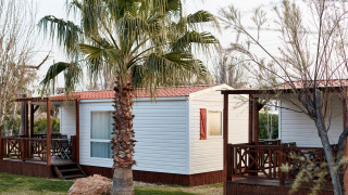 Dos bungalows Confort Delta blancos con techo rojo y porche de madera, rodeados de palmeras y césped.