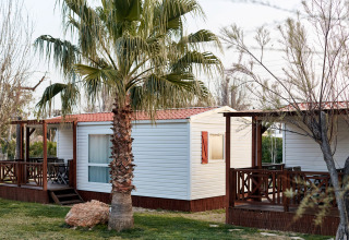 Dos bungalows Confort Delta blancos con techo rojo y porche de madera, rodeados de palmeras y césped.