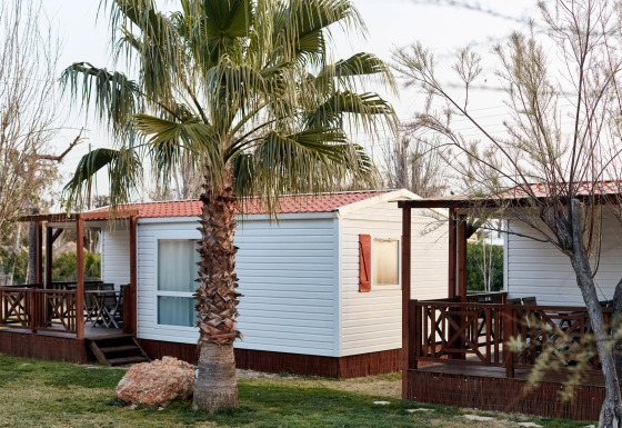 Dos bungalows Confort Delta blancos con techo rojo y porche de madera, rodeados de palmeras y césped.