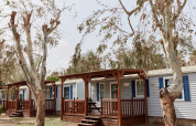 Bungalós de madera en TAIGA Delta de l'Ebre, España, rodeados de árboles y naturaleza tranquila.