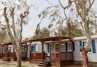 Houten bungalows in TAIGA Delta de l'Ebre, Spanje, omgeven door hoge bomen en een rustige omgeving.