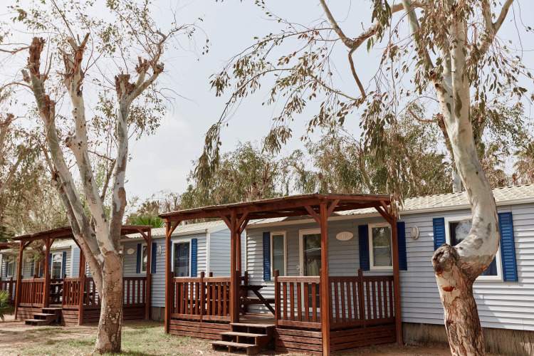 Houten bungalows bij TAIGA Delta de l'Ebre in Spanje, omgeven door bomen en een rustige sfeer.